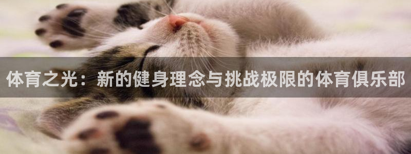 米兰体育官方正版app官网：体育之光：新的健身理念与