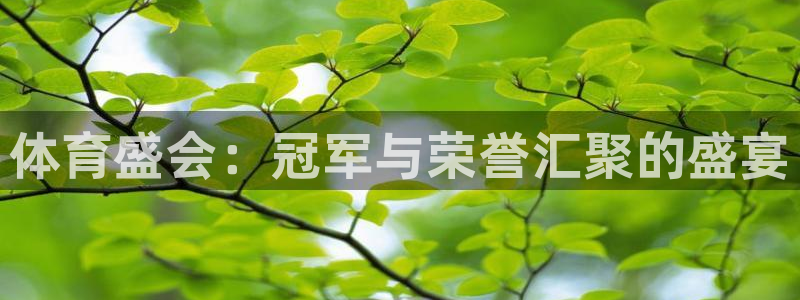 米兰体育官方正版app娱乐首页网站大全：体育盛会：冠