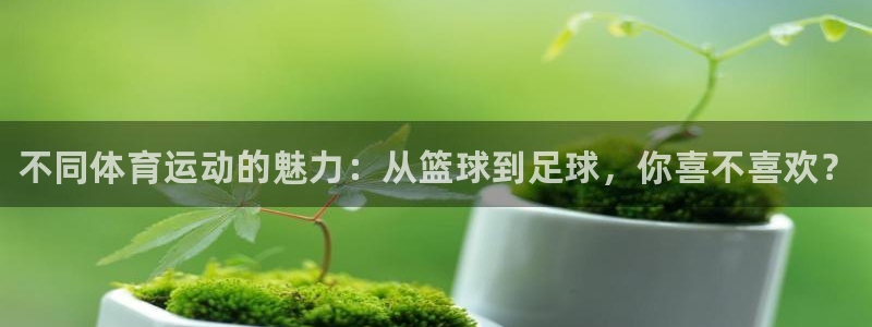 米兰体育官方正版app科技：不同体育运动的魅力：从篮