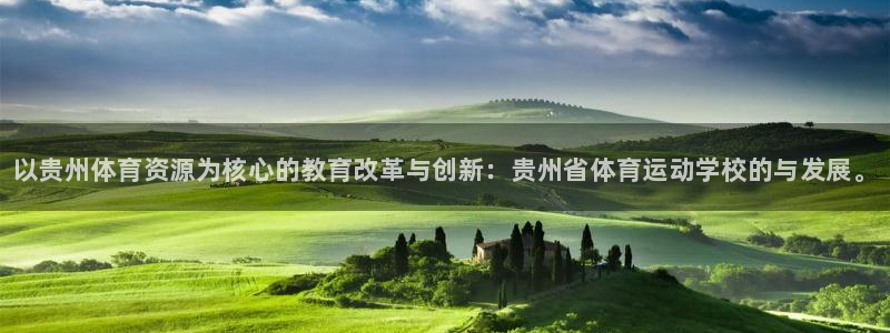 米兰体育官方正版app集团E.ON：以贵州体育资源为核心的教