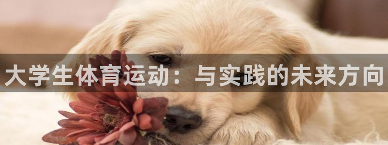米兰体育官网下载招商电话号码查询：大学生体育运动：与实践的未