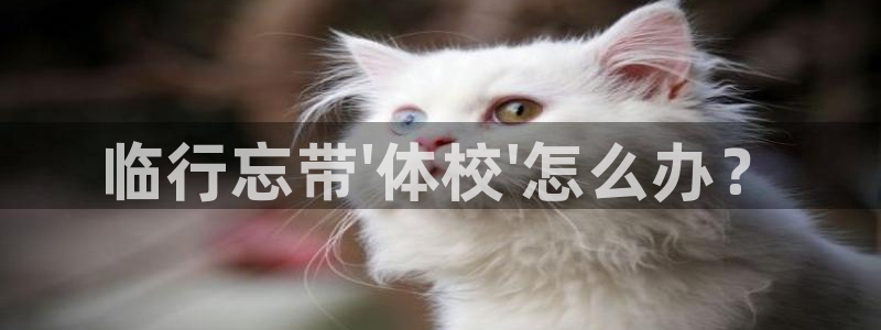米兰体育官方正版app集团：临行忘带\'体校\'怎么办？
