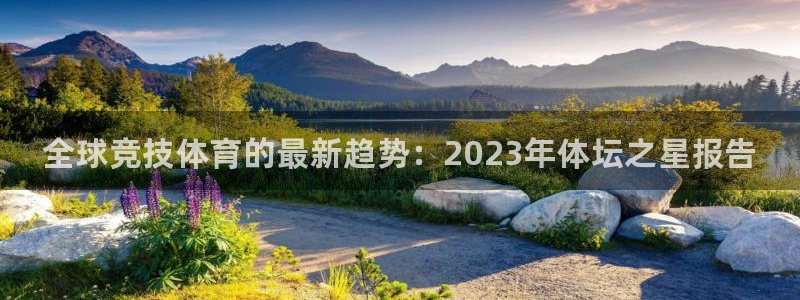 米兰体育官网下载招商电话：全球竞技体育的最新趋势：2