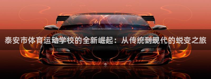 米兰体育官网下载平台注册流程视频：泰安市体育运动学校