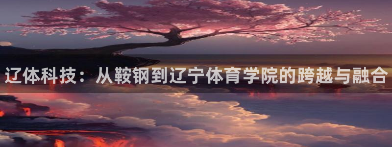 米兰体育官网下载平台注册：辽体科技：从鞍钢到辽宁体育