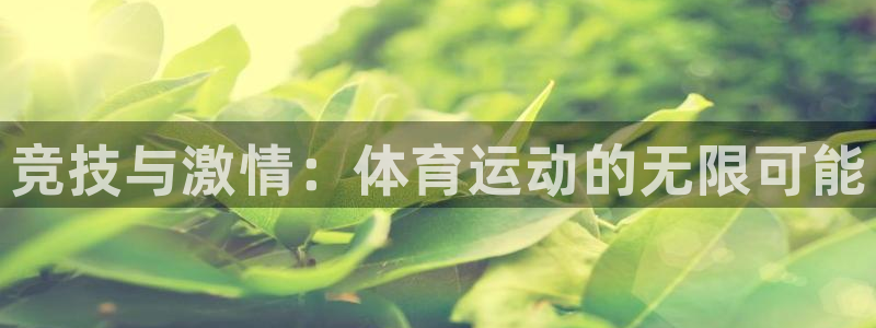 米兰体育官方正版app娱乐代理怎么样