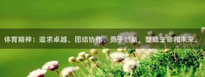 米兰体育官方正版app娱乐首页官网下载：体育精神：追求卓越、