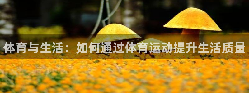 海南米兰体育官网下载发展怎么样：体育与生活：如何通过体育运动
