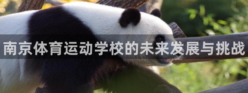米兰体育官网下载开户