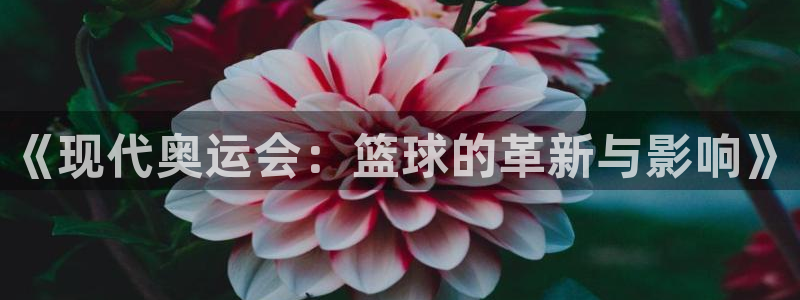 米兰体育官网下载招商电话号码查询：《现代奥运会：篮球的革新与