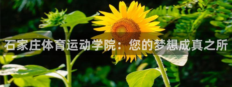 米兰体育官网下载平台注册：石家庄体育运动学院：您的梦想成真之