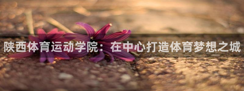 米兰体育官方正版app集团：陕西体育运动学院：在中心