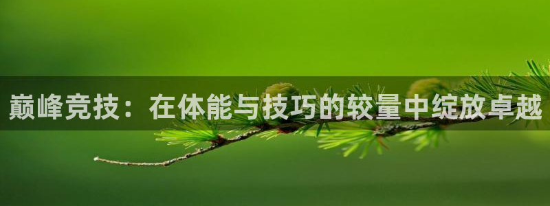 米兰体育官网下载平台是正规平台吗知乎：巅峰竞技：在体能与技巧