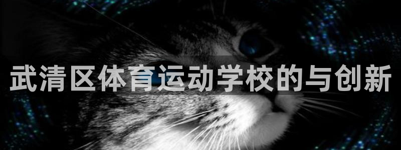 米兰体育官方正版app开户：武清区体育运动学校的与创新