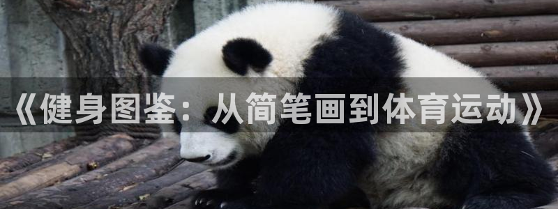 米兰体育官方正版app集团官网网址