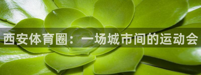 米兰体育官网下载平台注册要钱吗是真的吗：西安体育圈：一场城市